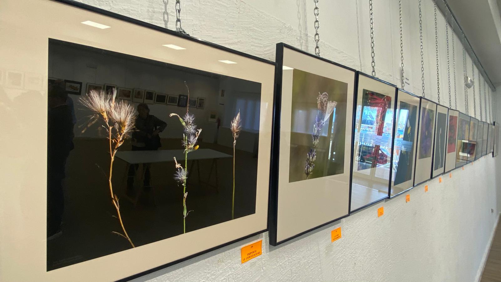 2025-02-10. Visita exposición 