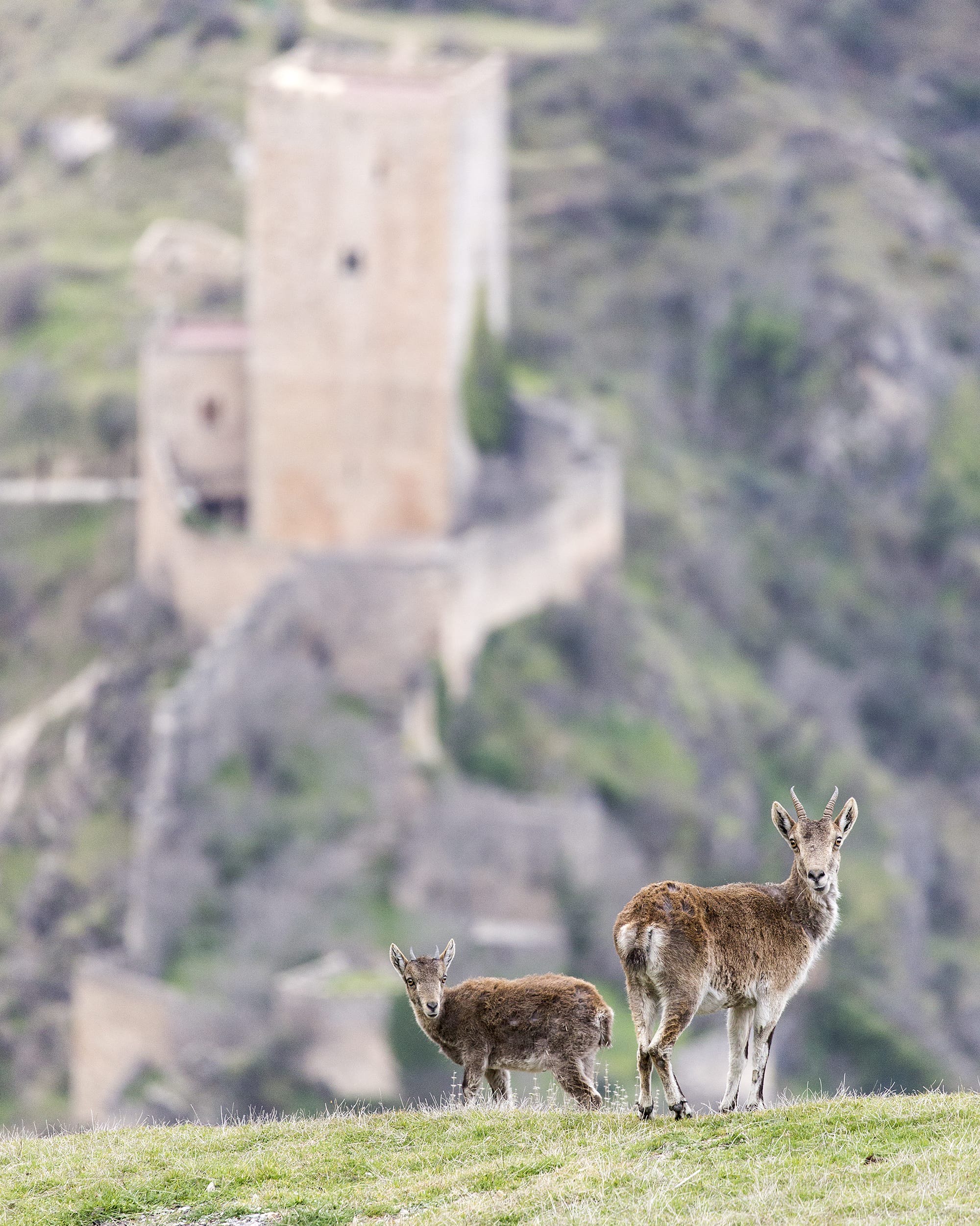 2025. SEPTIEMBRE. TEMA: 